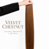 velvet-chestnut