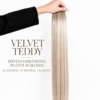 velvet-teddy