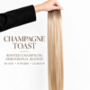 champagne-toast